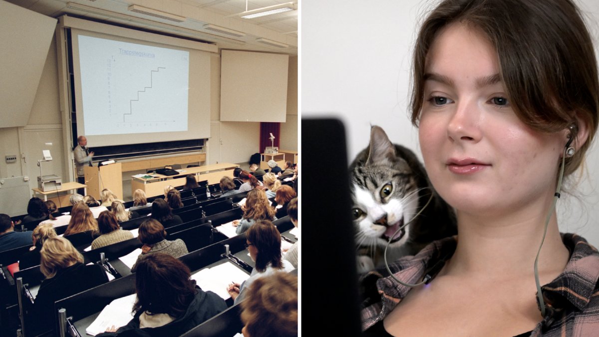 Lärarna gav högre betyg till vackra kvinnliga studenter när de var på plats. 
