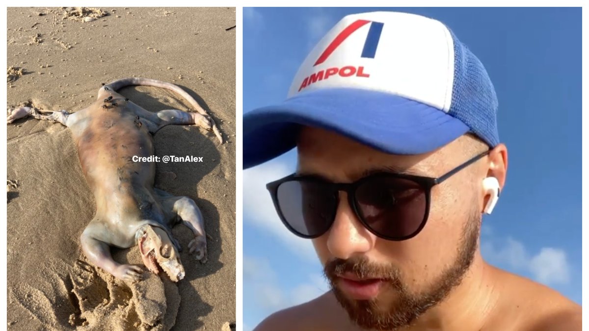 Alex Tan gjorde en minst sagt udda upptäckt på stranden.