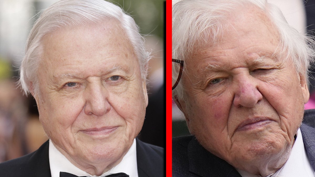 David Attenborough och BBC