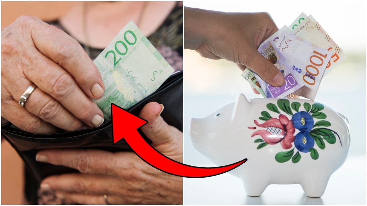 Sveriges akademikers centralorganisation vill att en ny pensionsprodukt erbjuds till svenskarna.
