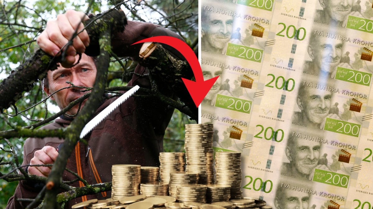Man klipper träd och svenska sedlar.