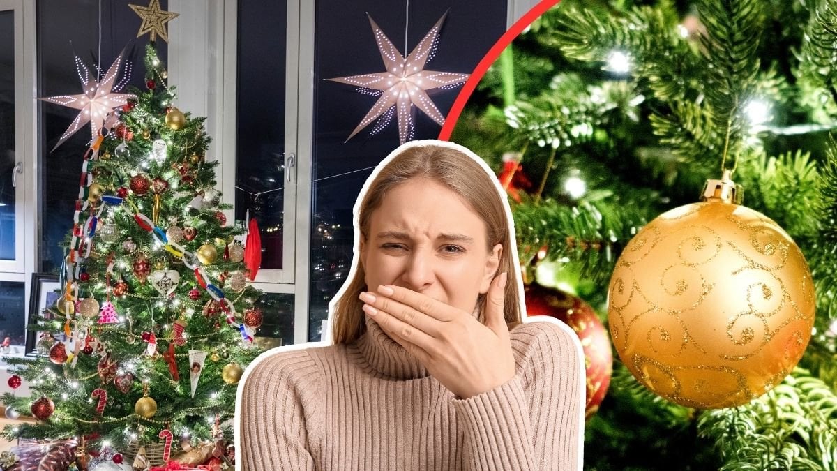 Julgran, äcklad tjej, julgranskula.