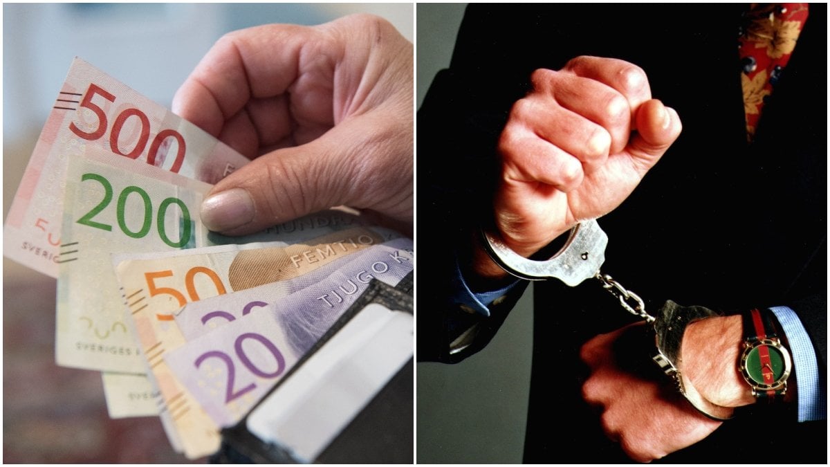 Enorma belopp betalas varje år ut felaktigt till personer som inte har rätt till dem. Det varnar nu Skatteverket för.