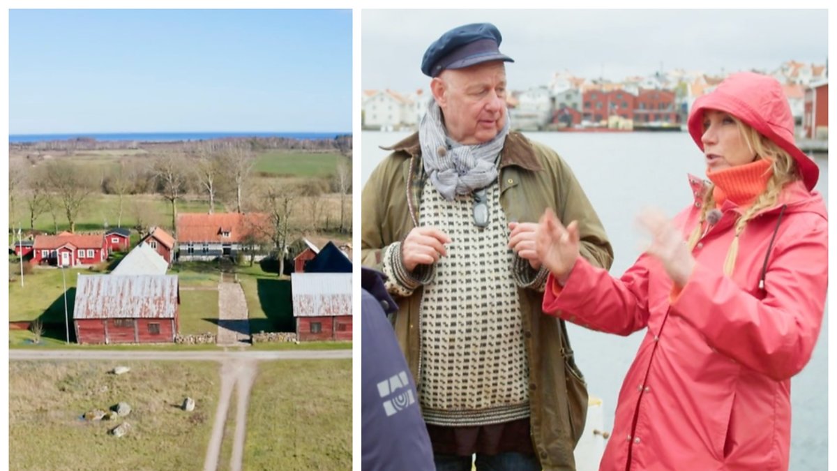 En ny version av Husdrömmar kommer i höst.