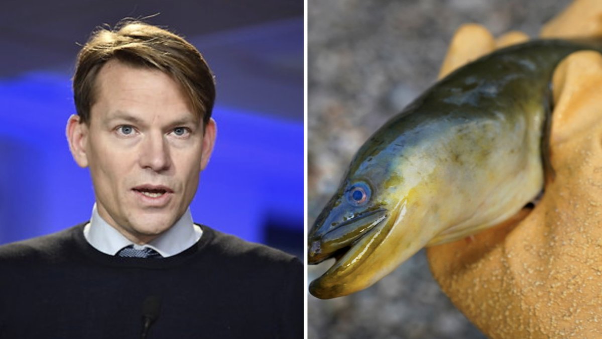 PM Nilsson, statssekreterare hos statsminister Ulf Kristersson. Arkivbild.