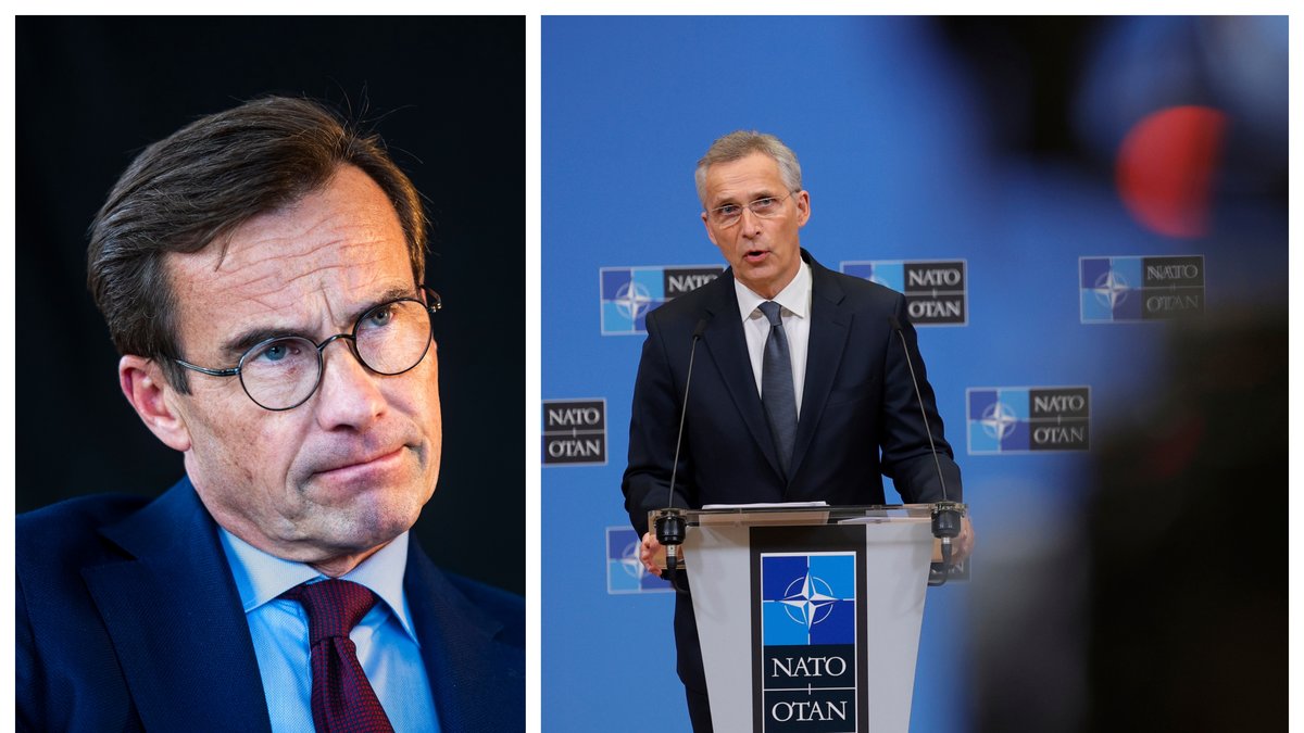 Moderaterna vill lämna in en Natoansökan.