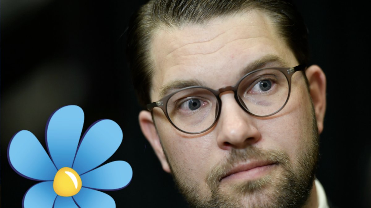 Mindre än en femtedel vill se SD i regering enligt en ny undersökning.