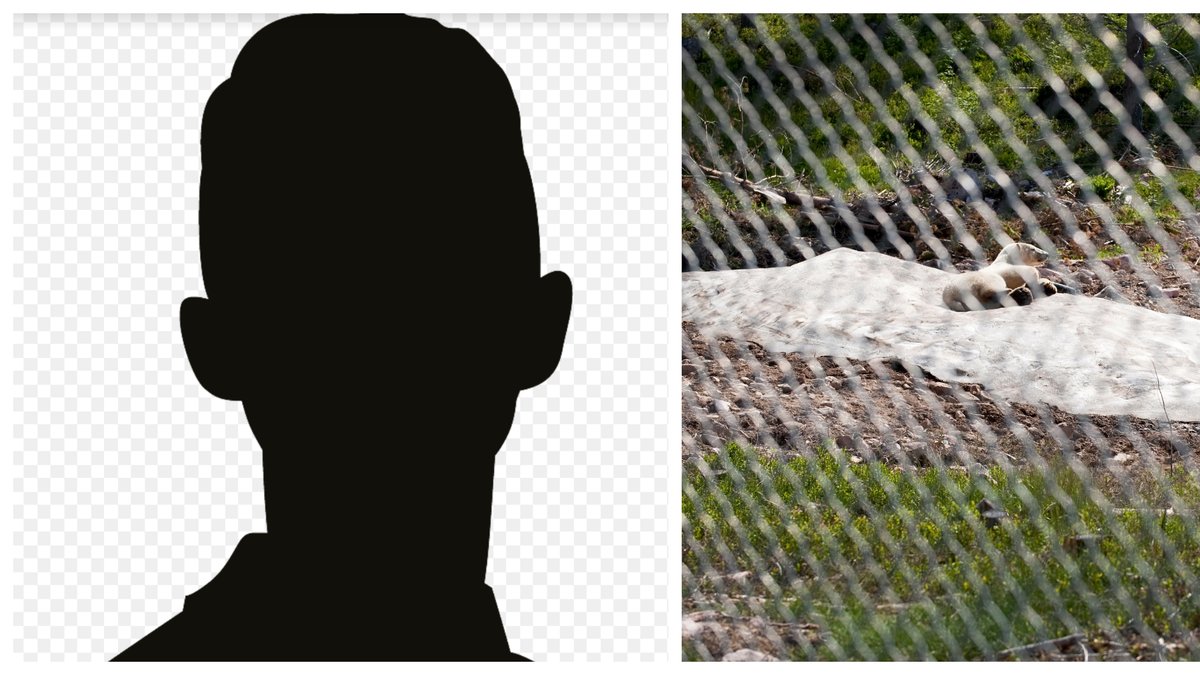 Aggressiv man bröt sig in på djurpark.