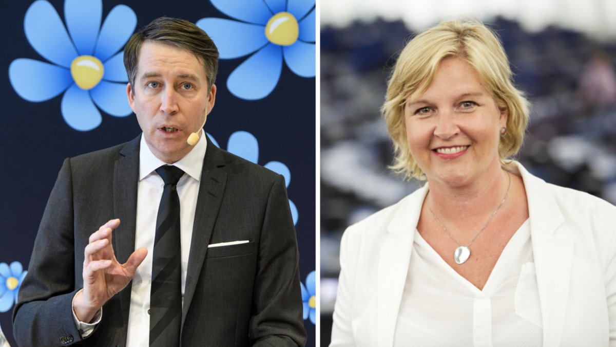 L säger nej till SD i regering.