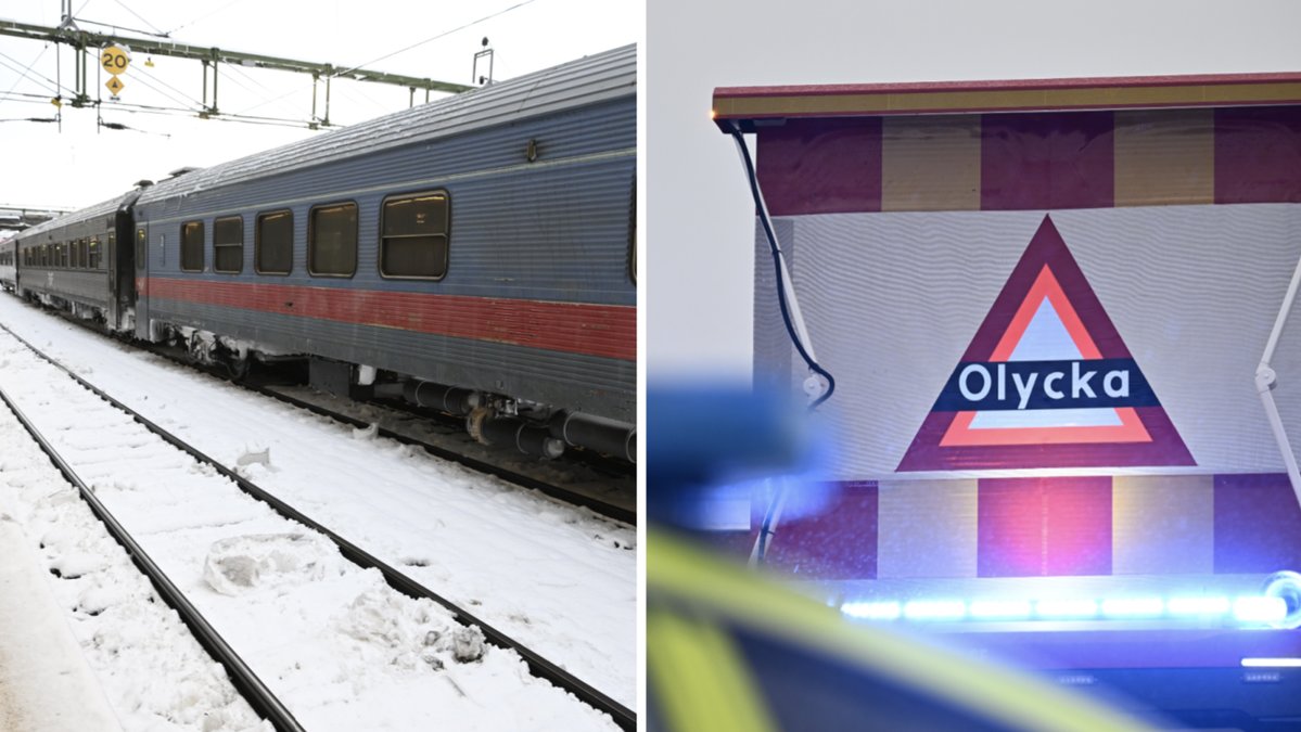 Tåget krockade med ett träd och spårade ur. (Genrebilder)