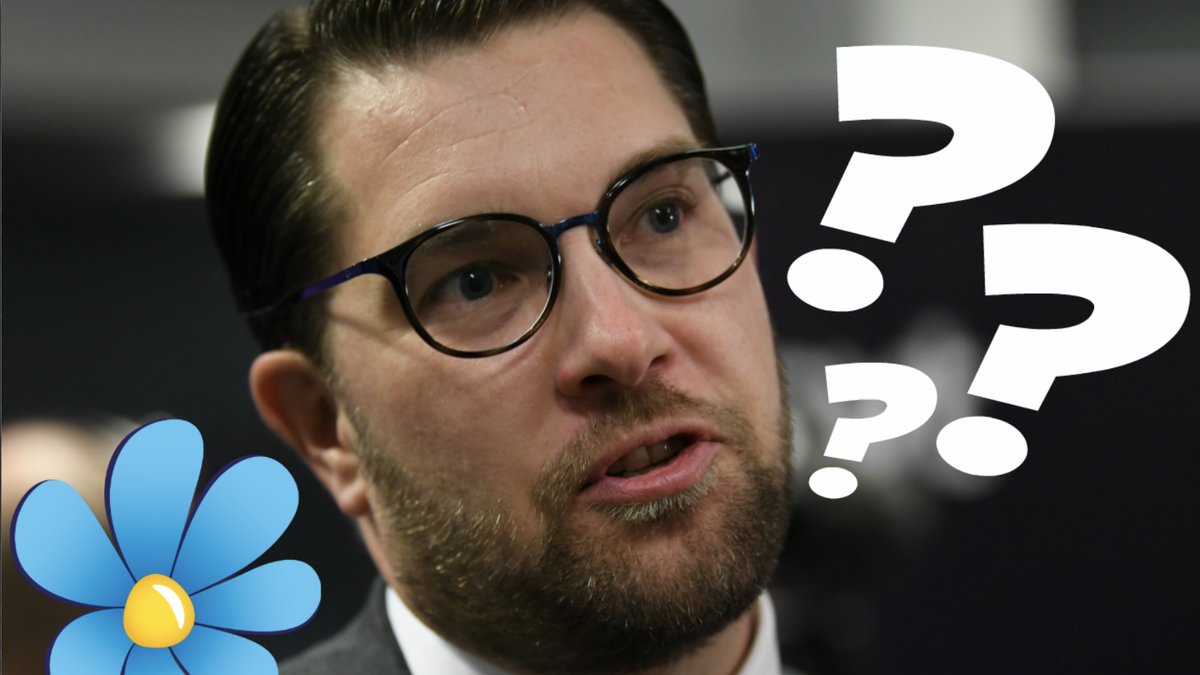 Vill Sverigedemokraterna avskaffa skyddsombuden?