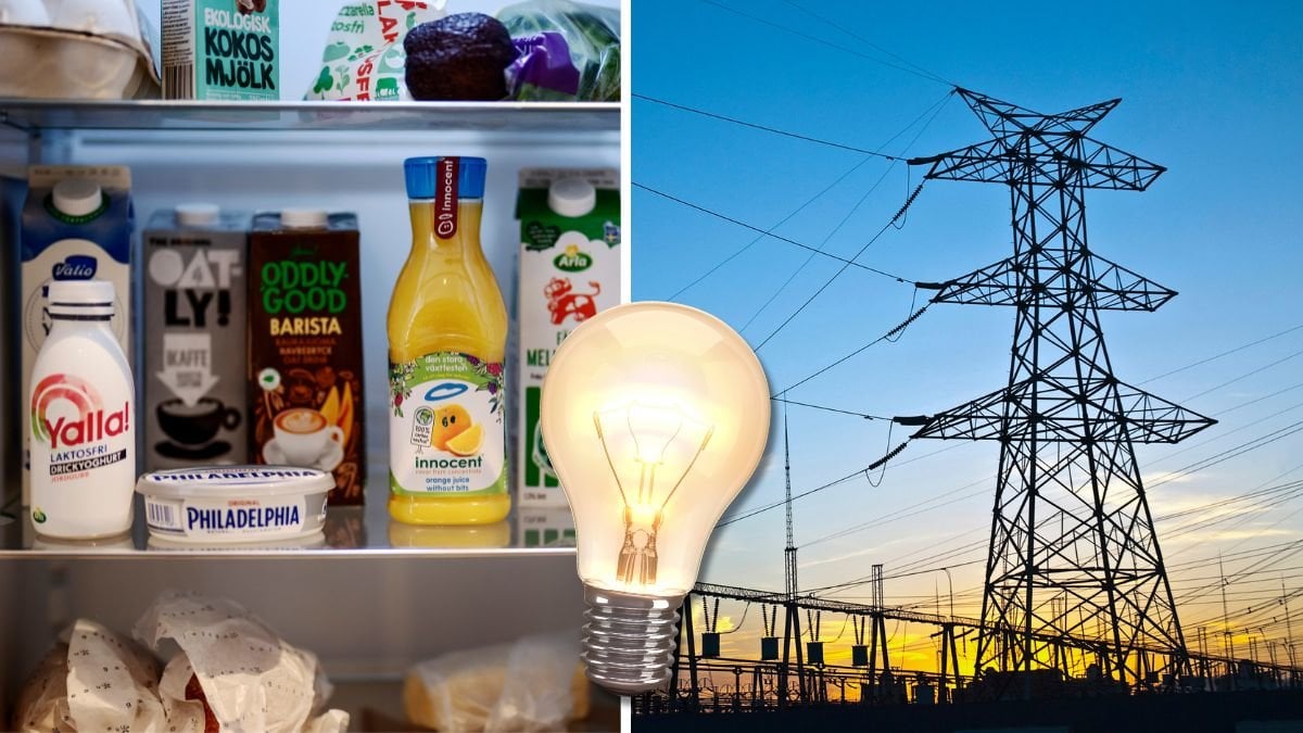 Kylskåp, glödlampa och elledningar.