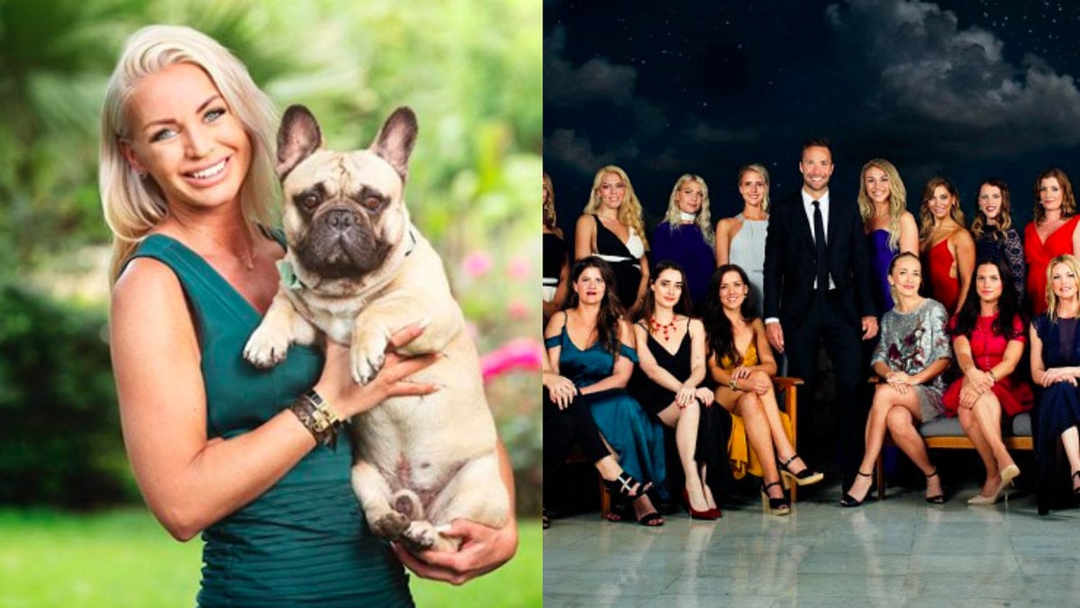 Bachelor Sverige