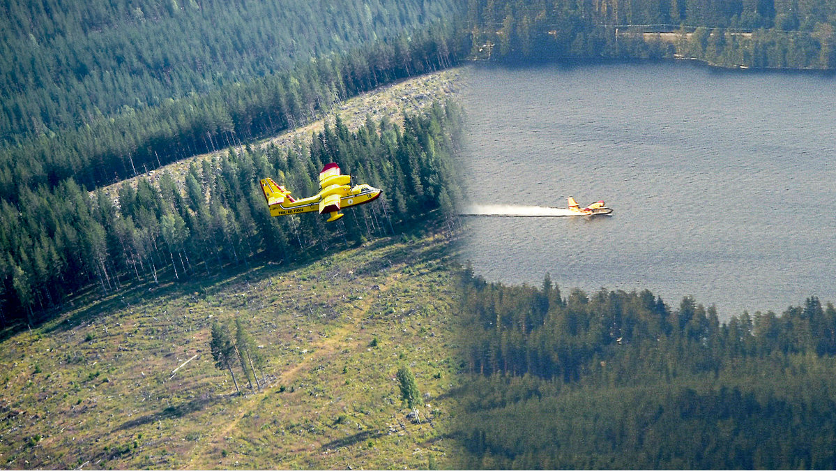 Brandflyg från EU har varit A och O för att klara av att släcka bränderna i Sverige