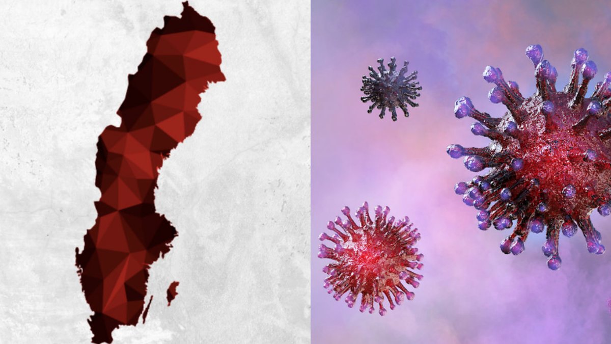 Lisa Brouwers, enhetschef på Folkhälsomyndigheten, säger att det finns många osäkerhetsfaktorer kring höstens smittspridning.