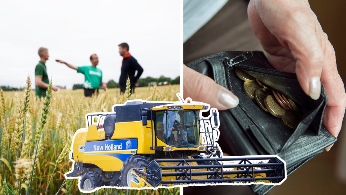 Bild på skogsbrukare, maskin och plånbok