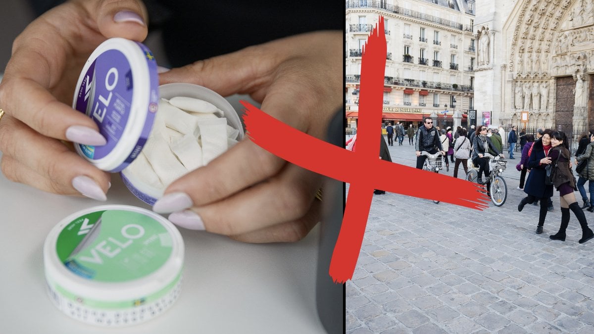 Vitt snus förbud