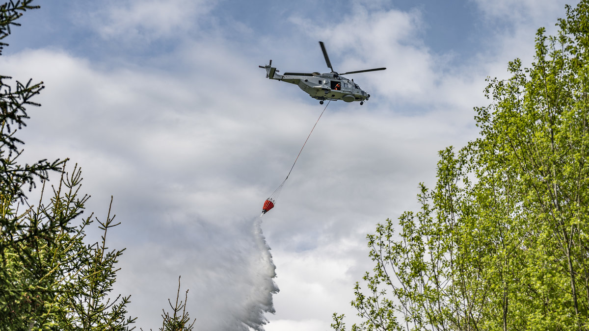 Bilden är från en annan skogsbrand.