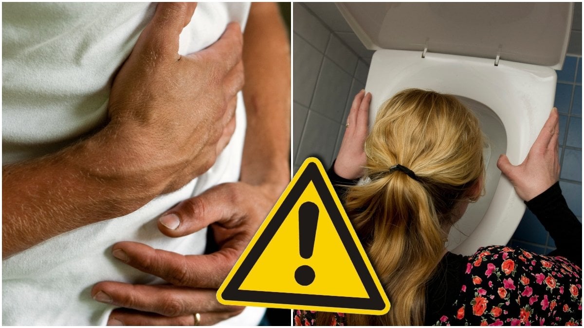 Allt fler insjuknar i salmonella i Sverige. Och källan spås vara ett populärt livsmedel som du nu uppmanas att undvika.