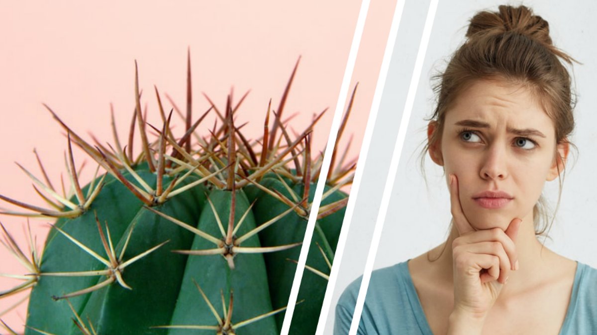 4 tecken på att något inte är som det ska med din fiffi