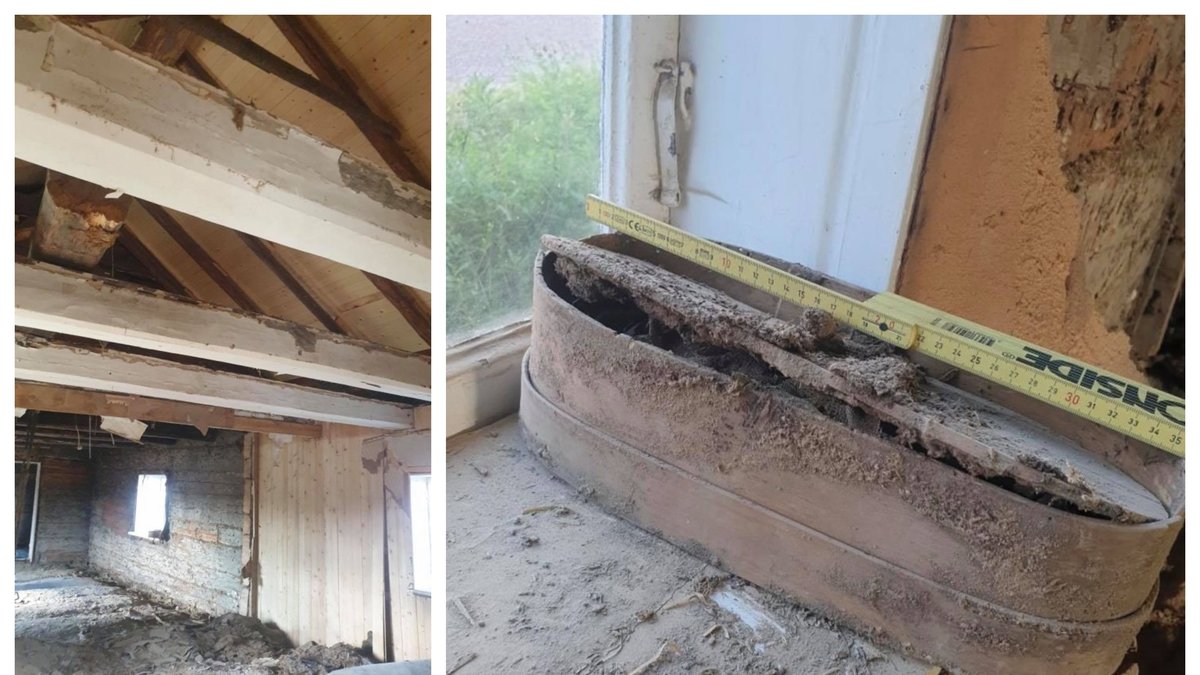 Familjen Blixt gjorde en makaber upptäckt när de renoverade sitt hus.