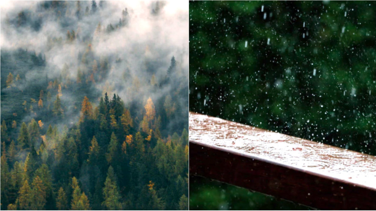 Nu kommer det regn i Kårböle, Färila och Trängslet.