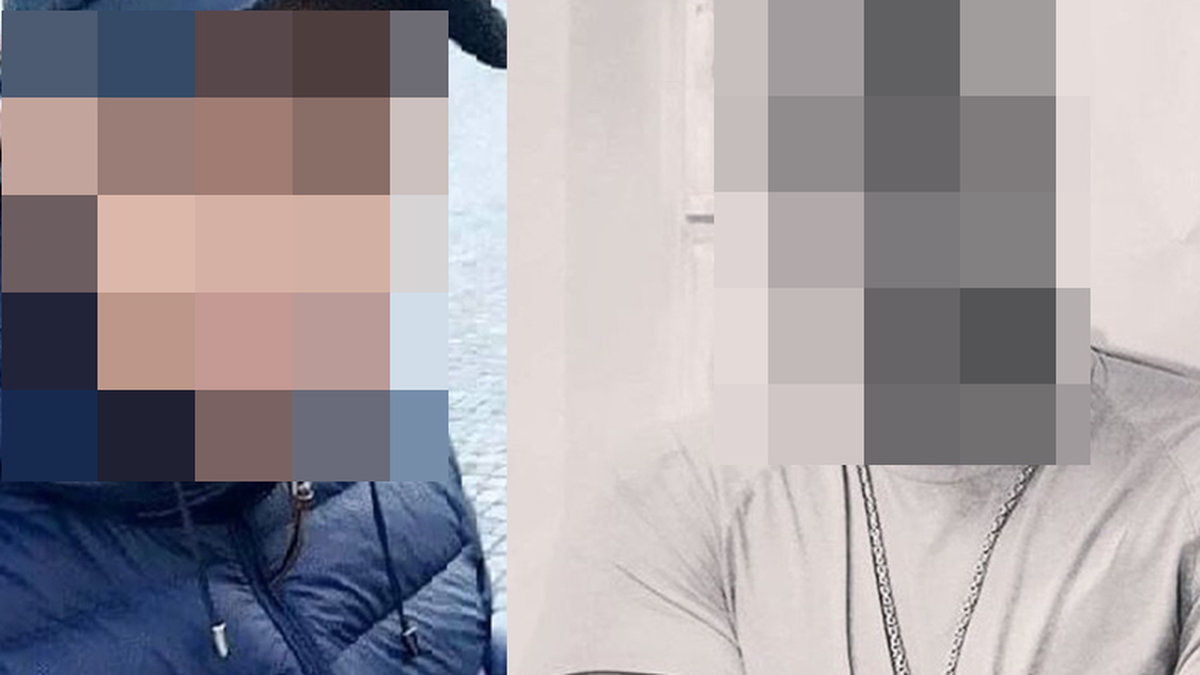Artist åtalad för mord