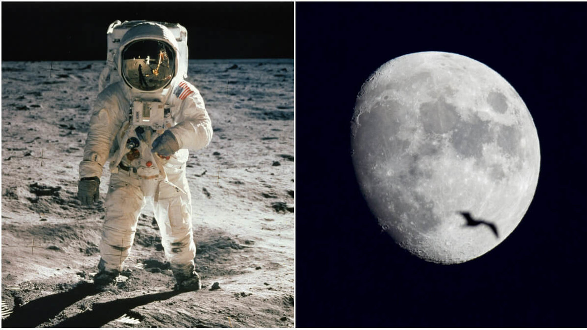 En astronaut befinner sig i rymden.