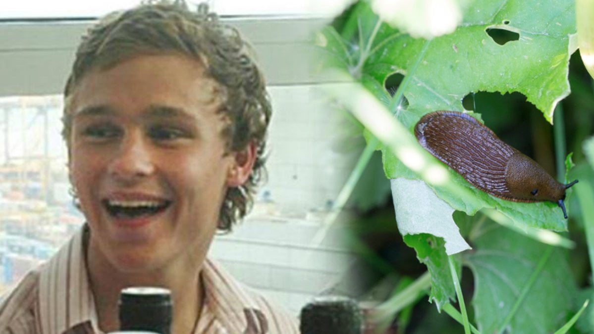 Sam Ballard och en snigel liknande den som tog hans liv.