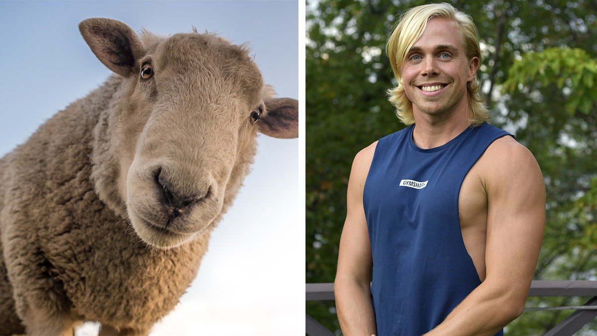 Mattias Karlsson i Bonde söker fru.