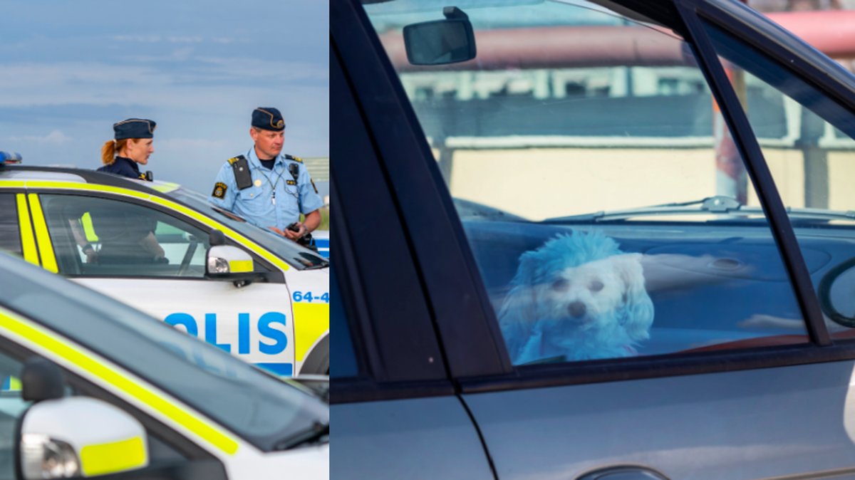 Polisen bröt sig in i varm bil - räddade hund