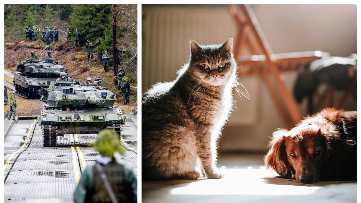 Vad innebär totalförsvar och förfogandelagen?