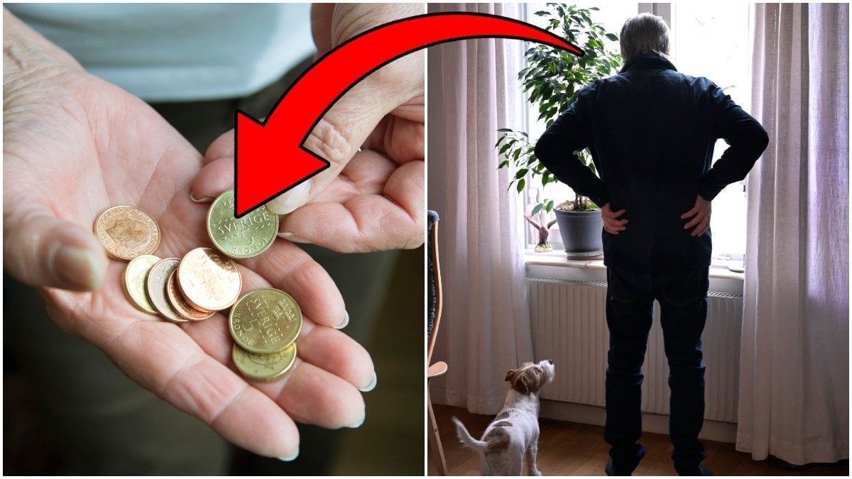 IF Metall riktar kritik mot det svenska pensionssystemet.