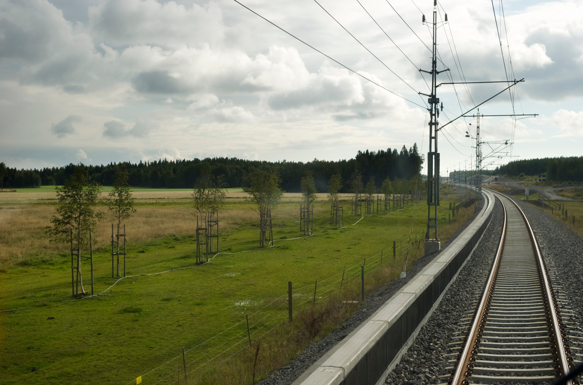 Tågkrock