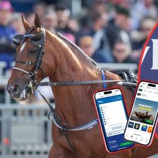 Travhäst, Per Skoglund och V85 i mobilen