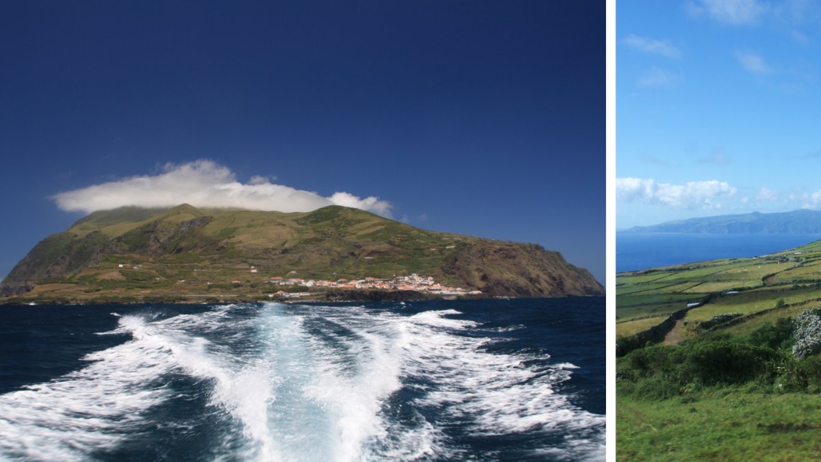 Corvo har uppnått flockimmunitet.