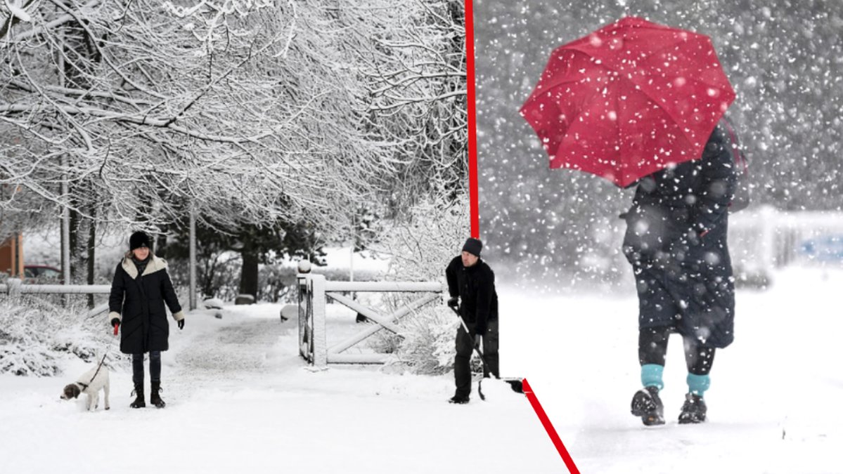 Snöstorm, snökaos. 