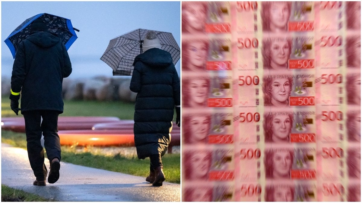 Pensionsmyndigheten ska fördela arvsvinsterna i systemet snabbare till premiepensionen.