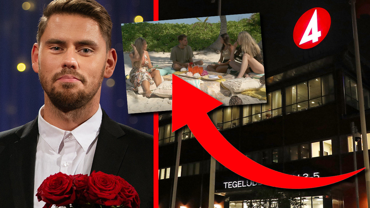 Bachelor
