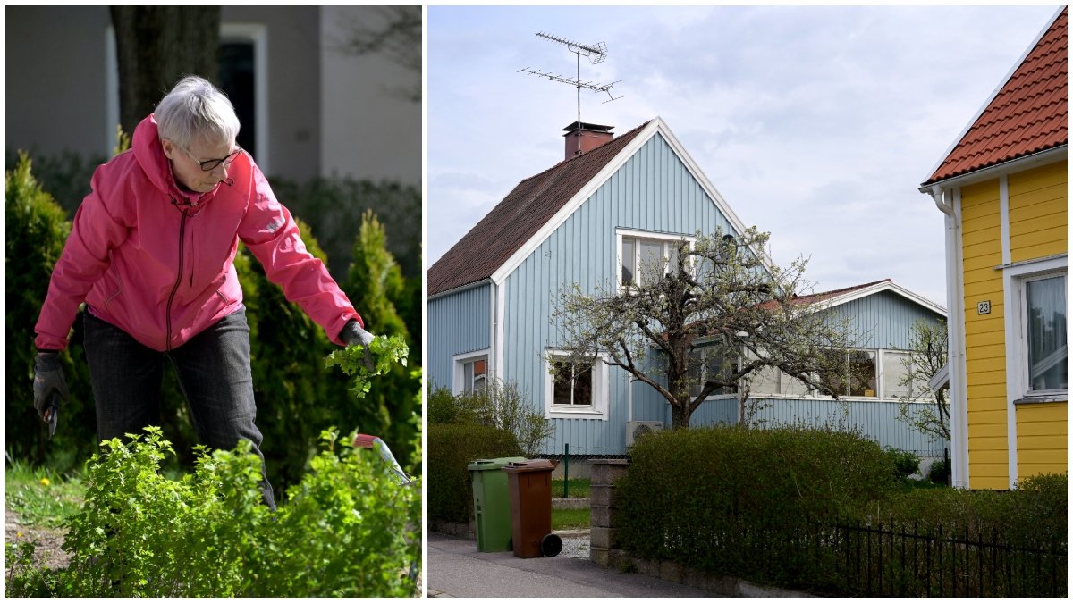 Legionella kan spridas via jord och vatten i din trädgård.