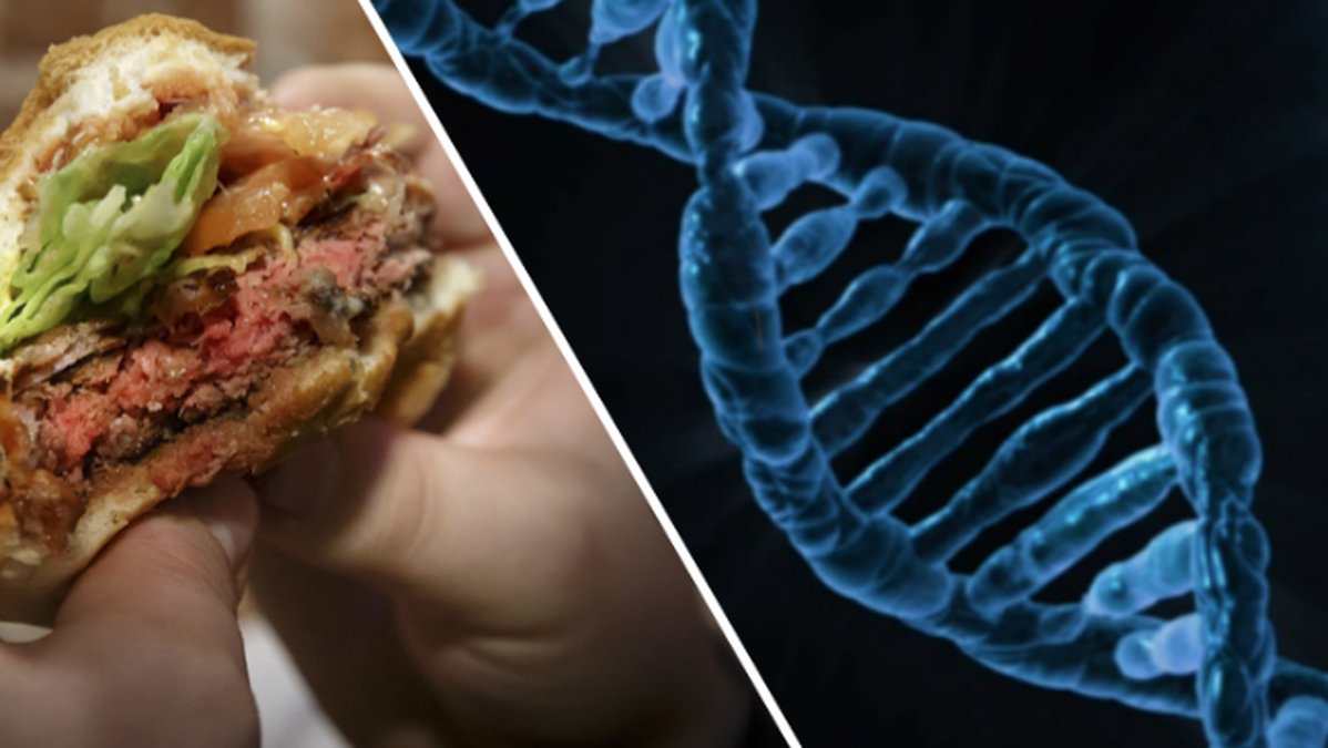 Hamburgare och DNA