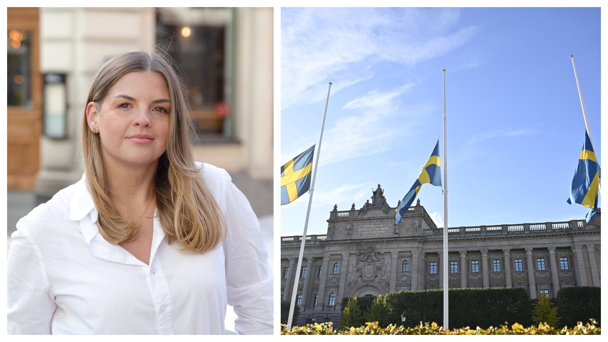 avanza felicia schön ekonomi bnp scb