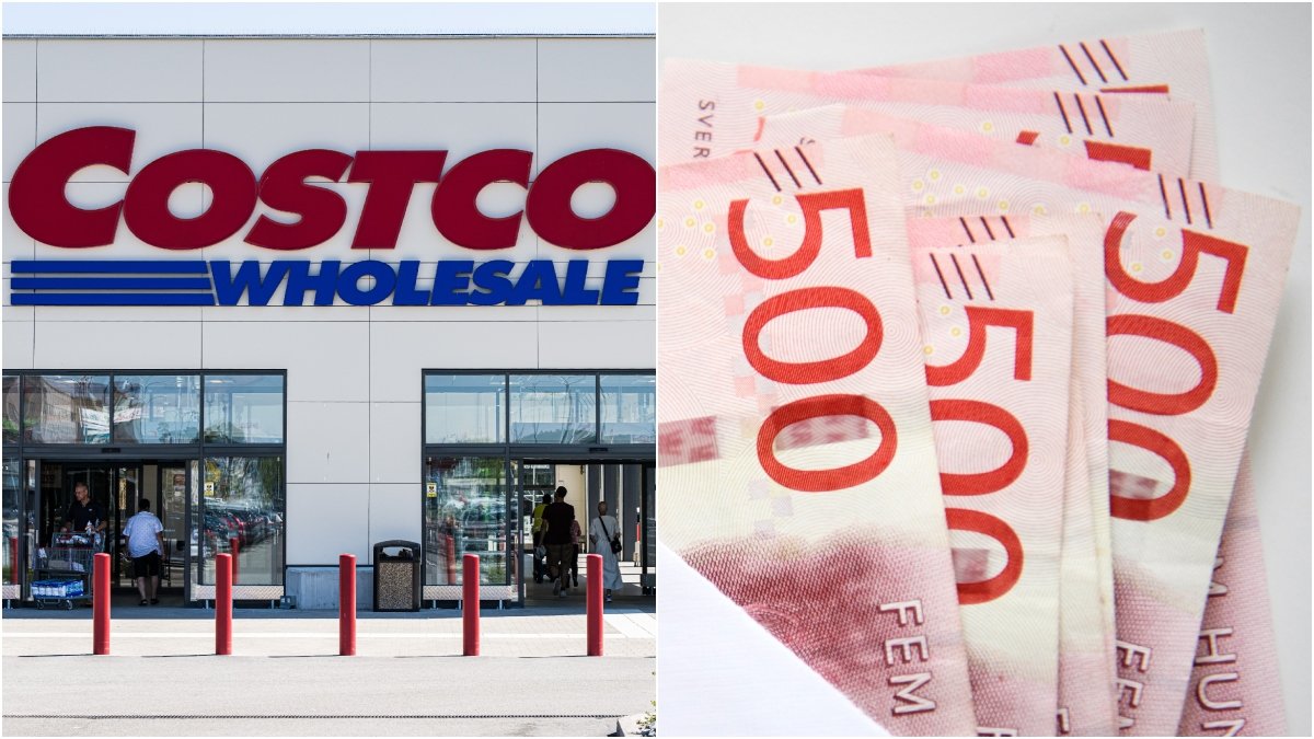 Costco Wholesales vinst blev ingen succé under det första verksamhetsåret.