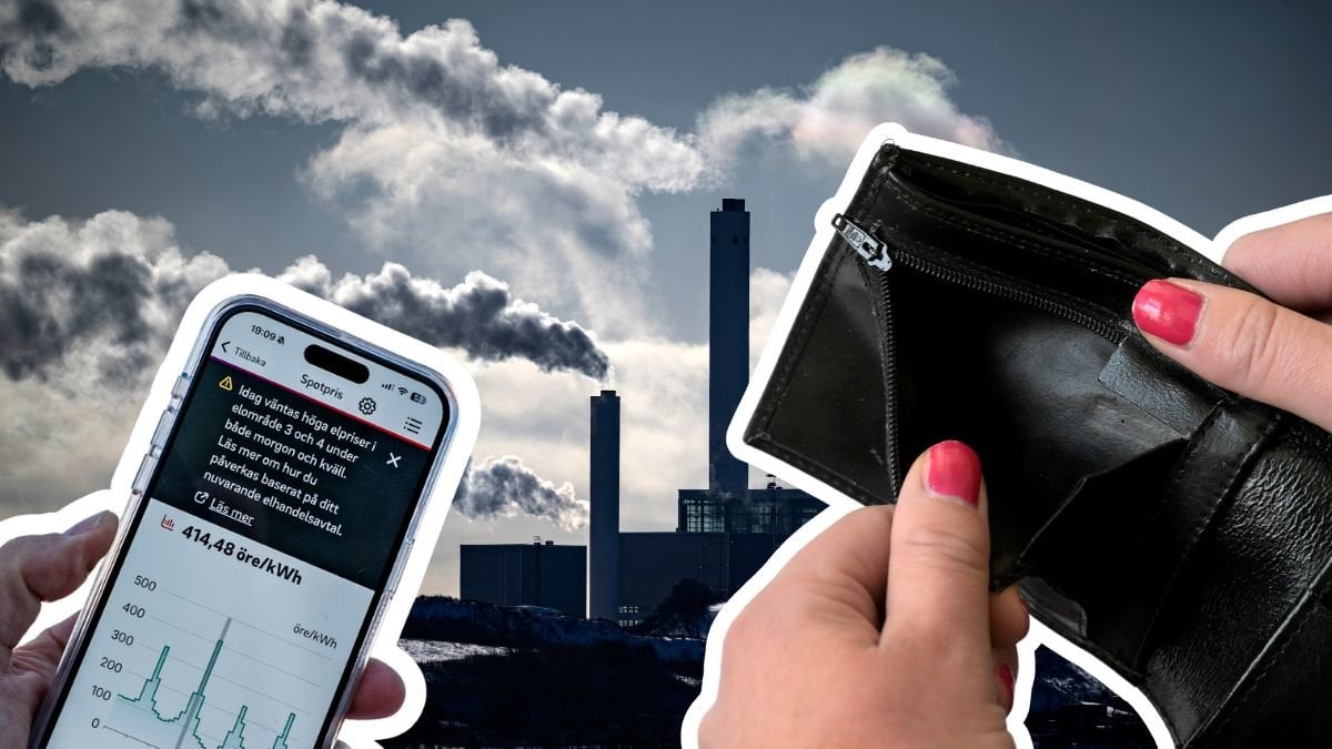 Kritik riktas nu mot elsystemet i Sverige.