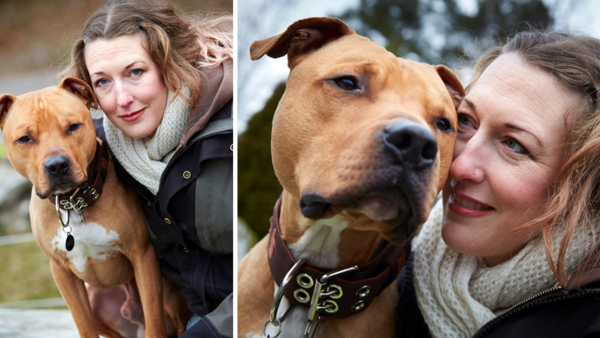 Irene Westerholm är kamphundsexpert.