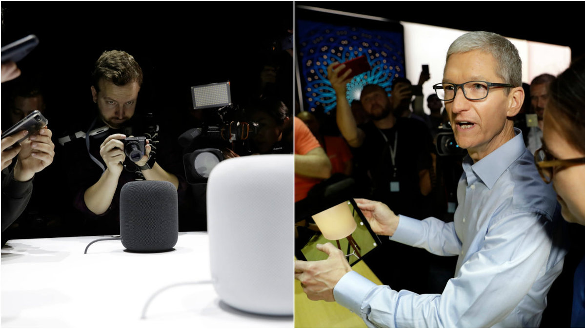 Tim Cook