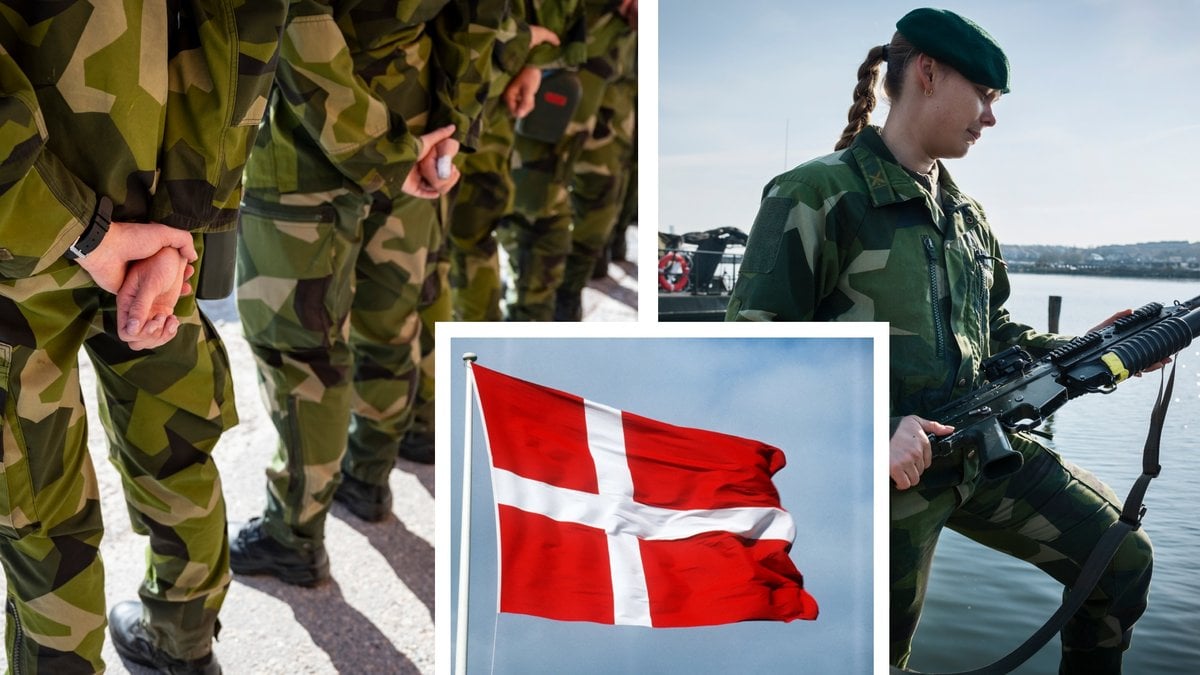 Militärer och danmarks flagga