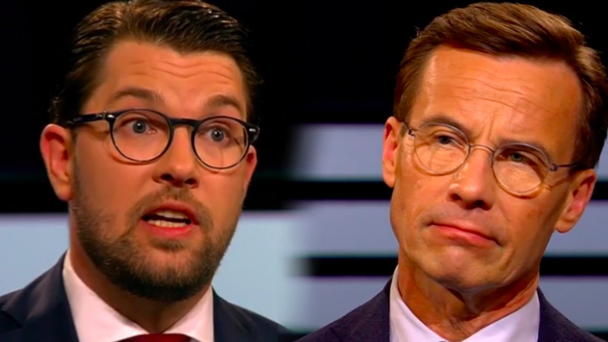 Bild från SVT:s Agenda. 
