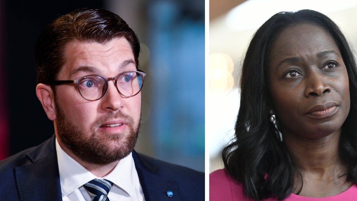 Enligt Åkesson stod L i vägen för ett hårdare förslag.