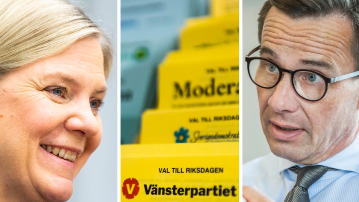 Vilken fråga får störst uppmärksamhet i kommande riksdagsval?